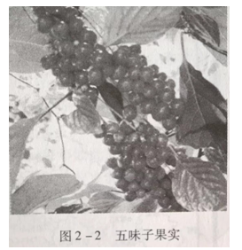 FM3MCKQERAZ2PL60JMV3M9B.png