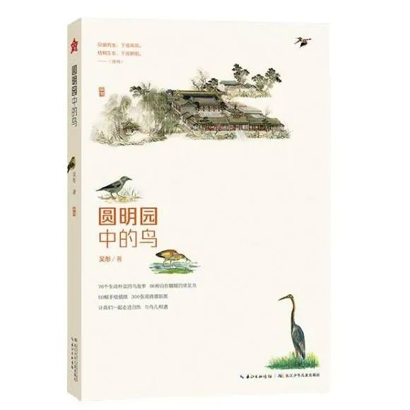 圆明园中的鸟.jpg