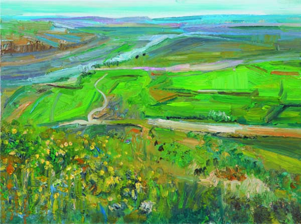 《远方》   油画    30cm×40cm.jpg