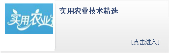 111111.gif